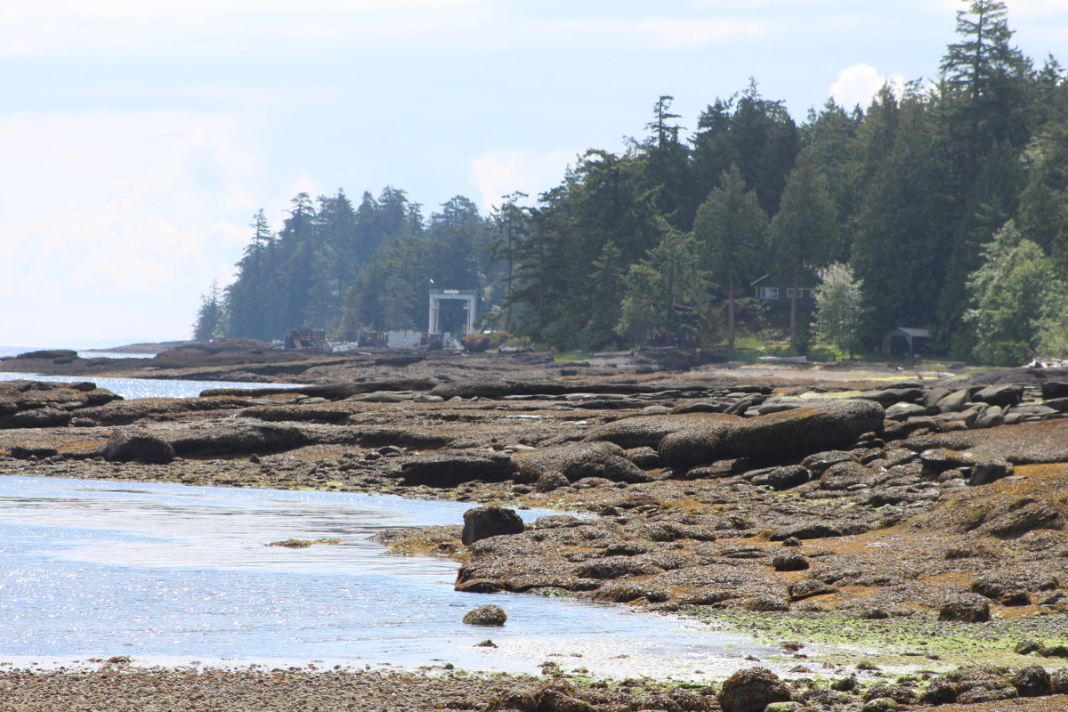 Beach Access Visit Denman Island